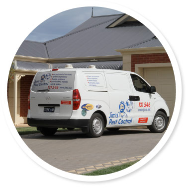 Pest Control Services