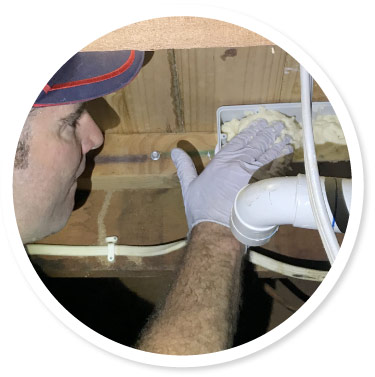 Termite inspection Toowoomba